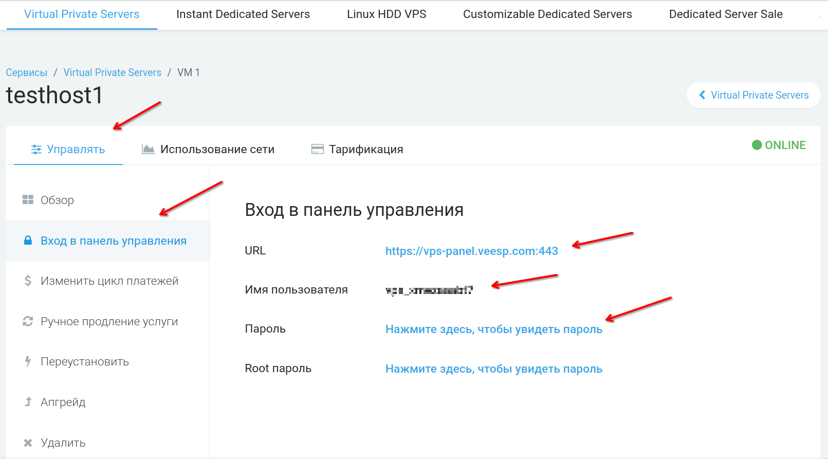 Pick VPS